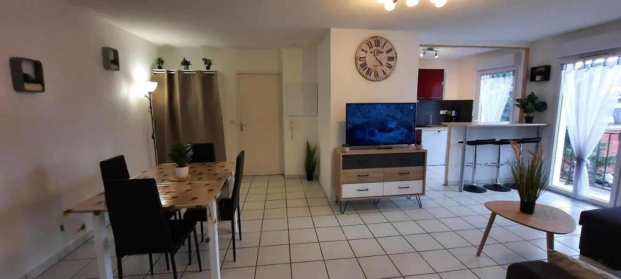 Appartamento T3 entièrement rénové - 6 couchages Lourdes